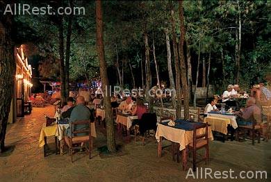 Pine Valley Hotel 21